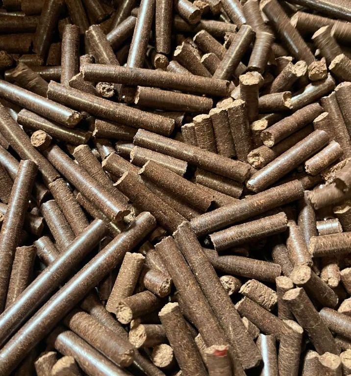 Pelet Cangkang Gajus